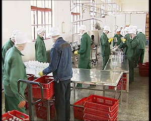 glacier water factory 