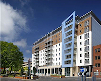 Shanley International Business Links