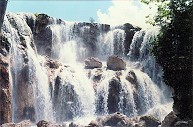 Natural Beauty Tour